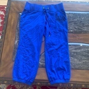 Royal blue express sweat pants